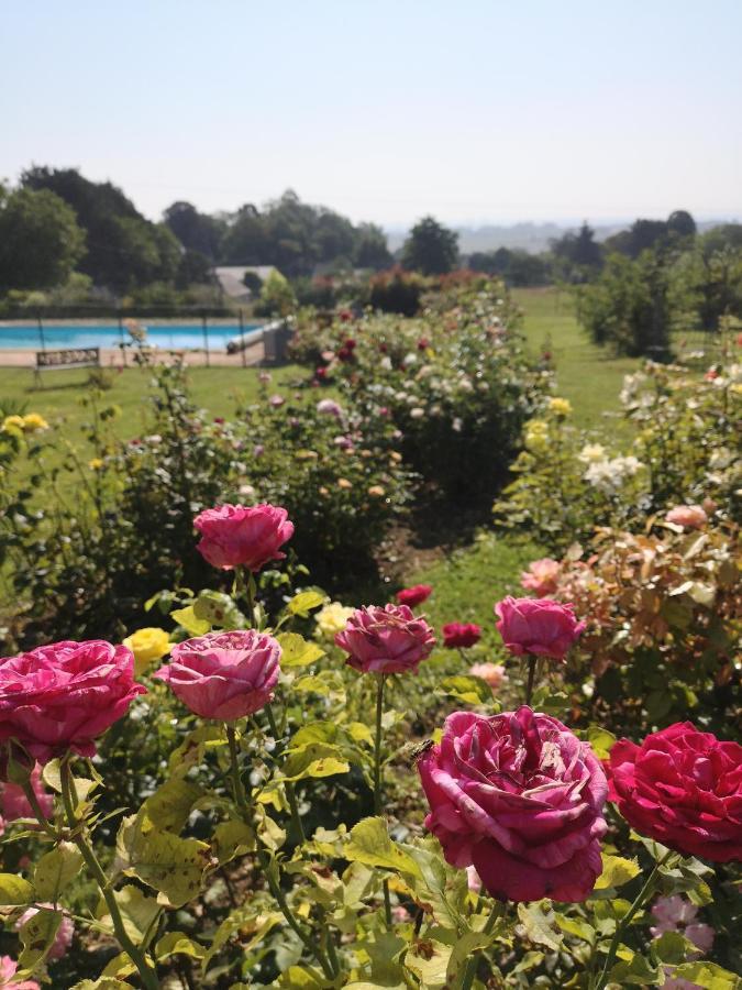 Gite De La Roseraie Louchy-Montfand Exterior foto
