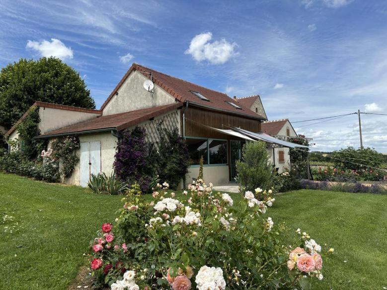 Gite De La Roseraie Louchy-Montfand Exterior foto